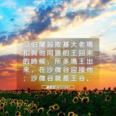 Picture 05 - 創 世 記 14:17 CUVT - 亞 伯 蘭 殺 敗 基 大 老 瑪 和 與 他 - Bible Verse Picture