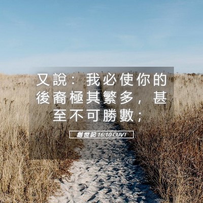 Picture 05 - 創 世 記 16:10 CUVT - 又 說 ： 我 必 使 你 的 後 裔 極 其 - Bible Verse Picture