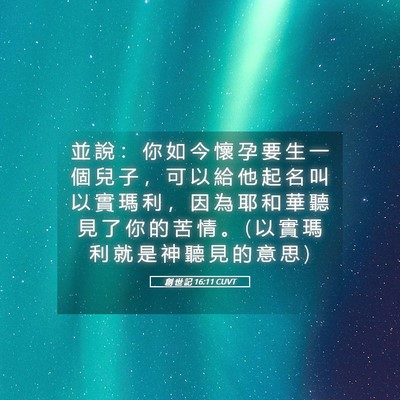 Picture 05 - 創 世 記 16:11 CUVT - 並 說 ： 你 如 今 懷 孕 要 生 一 個 - Bible Verse Picture