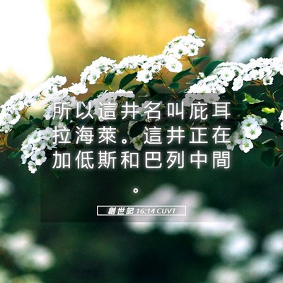 Picture 05 - 創 世 記 16:14 CUVT - 所 以 這 井 名 叫 庇 耳 拉 海 萊 。 - Bible Verse Picture