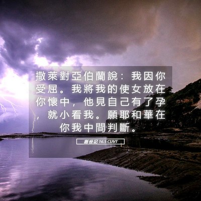 Picture 05 - 創 世 記 16:5 CUVT - 撒 萊 對 亞 伯 蘭 說 ： 我 因 你 受 - Bible Verse Picture