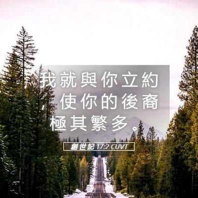 Picture 05 - 創 世 記 17:2 CUVT - 我 就 與 你 立 約 ， 使 你 的 後 裔 - Bible Verse Picture
