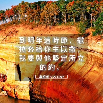 Picture 05 - 創 世 記 17:21 CUVT - 到 明 年 這 時 節 ， 撒 拉 必 給 你 - Bible Verse Picture