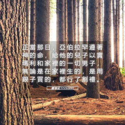 Picture 05 - 創 世 記 17:23 CUVT - 正 當 那 日 ， 亞 伯 拉 罕 遵 著 神 - Bible Verse Picture