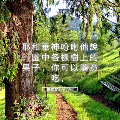 Picture 05 - 創 世 記 2:16 CUVT - 耶 和 華 神 吩 咐 他 說 ： 園 中 各 - Bible Verse Picture