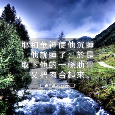Picture 05 - 創 世 記 2:21 CUVT - 耶 和 華 神 使 他 沉 睡 ， 他 就 睡 - Bible Verse Picture