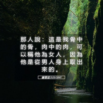 Picture 05 - 創 世 記 2:23 CUVT - 那 人 說 ： 這 是 我 骨 中 的 骨 ， - Bible Verse Picture