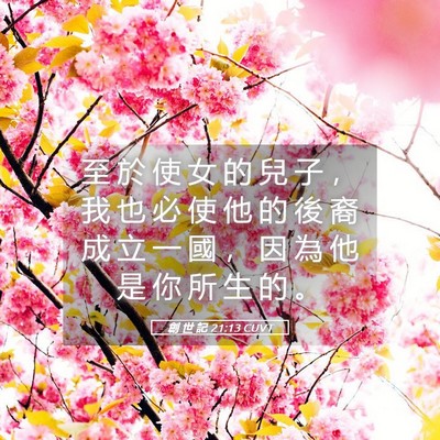 Picture 05 - 創 世 記 21:13 CUVT - 至 於 使 女 的 兒 子 ， 我 也 必 使 - Bible Verse Picture