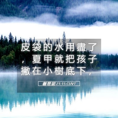Picture 05 - 創 世 記 21:15 CUVT - 皮 袋 的 水 用 盡 了 ， 夏 甲 就 把 - Bible Verse Picture