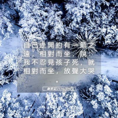 Picture 05 - 創 世 記 21:16 CUVT - 自 己 走 開 約 有 一 箭 之 遠 ， 相 - Bible Verse Picture