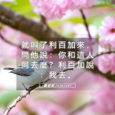 Picture 05 - 創 世 記 24:58 CUVT - 就 叫 了 利 百 加 來 ， 問 他 說 ： - Bible Verse Picture