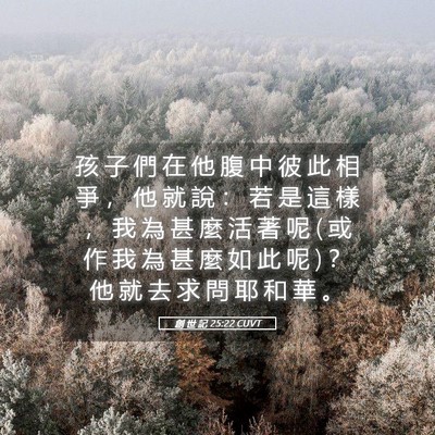 Picture 05 - 創 世 記 25:22 CUVT - 孩 子 們 在 他 腹 中 彼 此 相 爭 ， - Bible Verse Picture