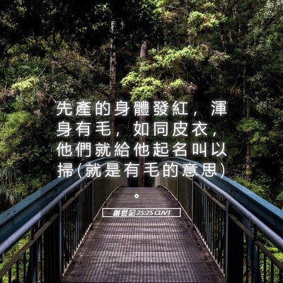 Picture 05 - 創 世 記 25:25 CUVT - 先 產 的 身 體 發 紅 ， 渾 身 有 毛 - Bible Verse Picture