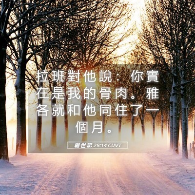 Picture 05 - 創 世 記 29:14 CUVT - 拉 班 對 他 說 ： 你 實 在 是 我 的 - Bible Verse Picture