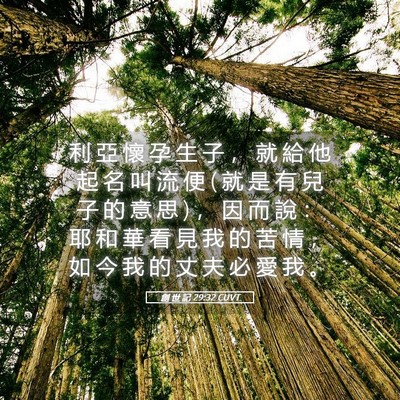 Picture 05 - 創 世 記 29:32 CUVT - 利 亞 懷 孕 生 子 ， 就 給 他 起 名 - Bible Verse Picture
