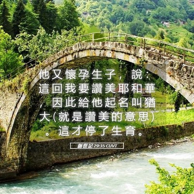 Picture 05 - 創 世 記 29:35 CUVT - 他 又 懷 孕 生 子 ， 說 ： 這 回 我 - Bible Verse Picture