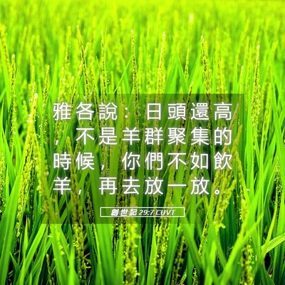 Picture 05 - 創 世 記 29:7 CUVT - 雅 各 說 ： 日 頭 還 高 ， 不 是 羊 - Bible Verse Picture