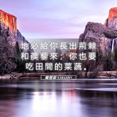 Picture 05 - 創 世 記 3:18 CUVT - 地 必 給 你 長 出 荊 棘 和 蒺 藜 來 - Bible Verse Picture