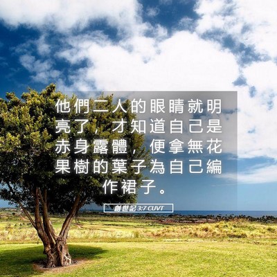 Picture 05 - 創 世 記 3:7 CUVT - 他 們 二 人 的 眼 睛 就 明 亮 了 ， - Bible Verse Picture