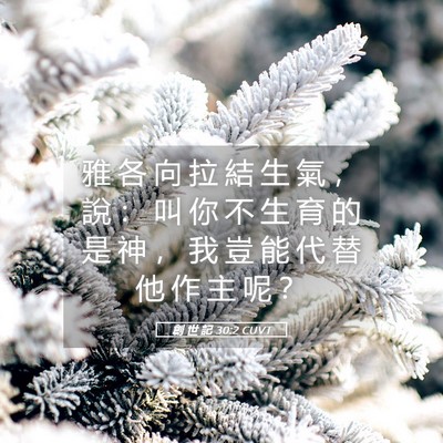 Picture 05 - 創 世 記 30:2 CUVT - 雅 各 向 拉 結 生 氣 ， 說 ： 叫 你 - Bible Verse Picture