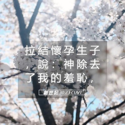 Picture 05 - 創 世 記 30:23 CUVT - 拉 結 懷 孕 生 子 ， 說 ： 神 除 去 - Bible Verse Picture