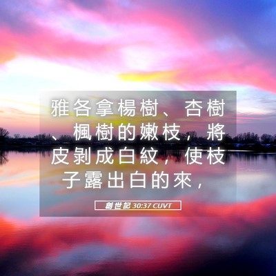 Picture 05 - 創 世 記 30:37 CUVT - 雅 各 拿 楊 樹 、 杏 樹 、 楓 樹 的 - Bible Verse Picture