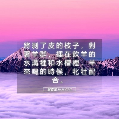 Picture 05 - 創 世 記 30:38 CUVT - 將 剝 了 皮 的 枝 子 ， 對 著 羊 群 - Bible Verse Picture