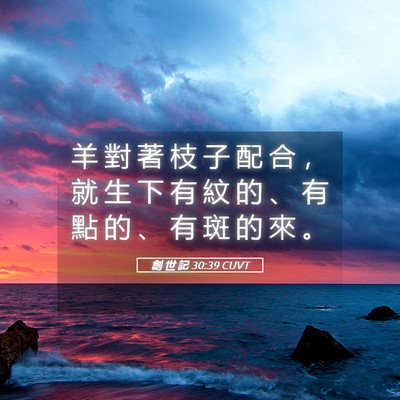 Picture 05 - 創 世 記 30:39 CUVT - 羊 對 著 枝 子 配 合 ， 就 生 下 有 - Bible Verse Picture