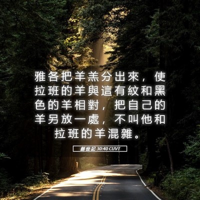 Picture 05 - 創 世 記 30:40 CUVT - 雅 各 把 羊 羔 分 出 來 ， 使 拉 班 - Bible Verse Picture