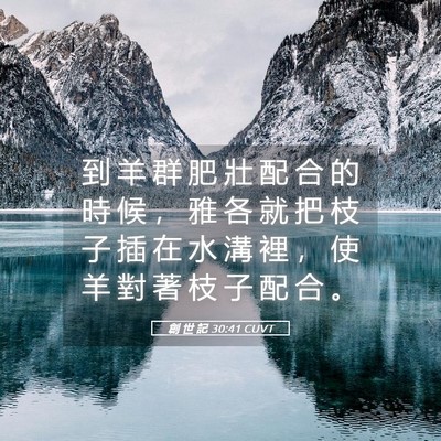Picture 05 - 創 世 記 30:41 CUVT - 到 羊 群 肥 壯 配 合 的 時 候 ， 雅 - Bible Verse Picture