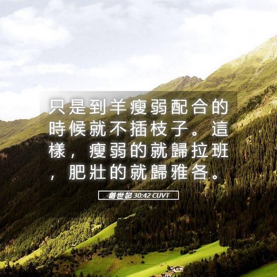 Picture 05 - 創 世 記 30:42 CUVT - 只 是 到 羊 瘦 弱 配 合 的 時 候 就 - Bible Verse Picture
