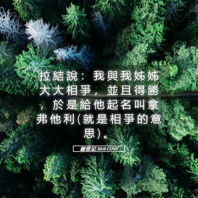 Picture 05 - 創 世 記 30:8 CUVT - 拉 結 說 ： 我 與 我 姊 姊 大 大 相 - Bible Verse Picture