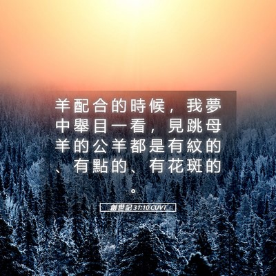 Picture 05 - 創 世 記 31:10 CUVT - 羊 配 合 的 時 候 ， 我 夢 中 舉 目 - Bible Verse Picture