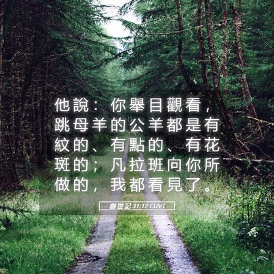 Picture 05 - 創 世 記 31:12 CUVT - 他 說 ： 你 舉 目 觀 看 ， 跳 母 羊 - Bible Verse Picture