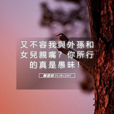 Picture 05 - 創 世 記 31:28 CUVT - 又 不 容 我 與 外 孫 和 女 兒 親 嘴 - Bible Verse Picture