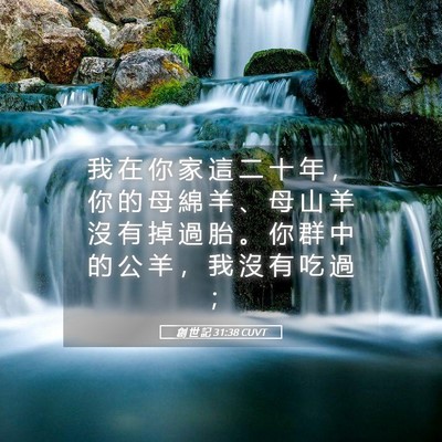 Picture 05 - 創 世 記 31:38 CUVT - 我 在 你 家 這 二 十 年 ， 你 的 母 - Bible Verse Picture