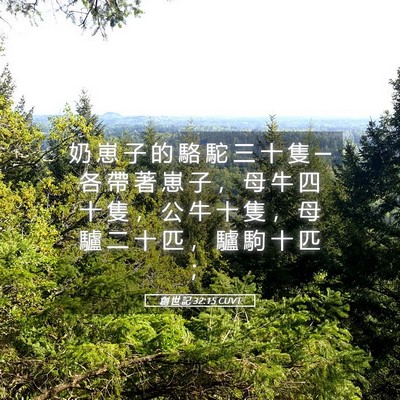 Picture 05 - 創 世 記 32:15 CUVT - 奶 崽 子 的 駱 駝 三 十 隻 ─ 各 帶 - Bible Verse Picture