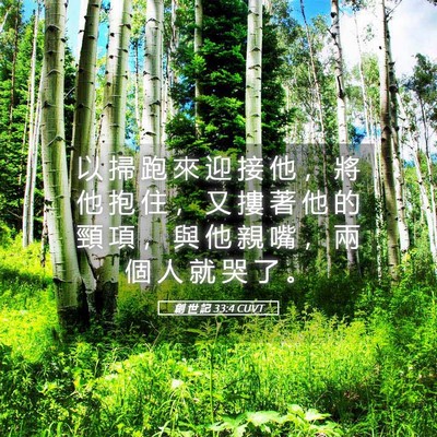 Picture 05 - 創 世 記 33:4 CUVT - 以 掃 跑 來 迎 接 他 ， 將 他 抱 住 - Bible Verse Picture