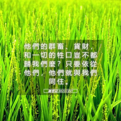 Picture 05 - 創 世 記 34:23 CUVT - 他 們 的 群 畜 、 貨 財 ， 和 一 切 - Bible Verse Picture