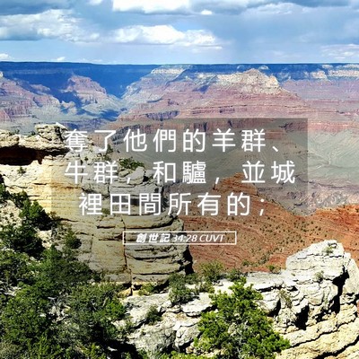 Picture 05 - 創 世 記 34:28 CUVT - 奪 了 他 們 的 羊 群 、 牛 群 ， 和 - Bible Verse Picture