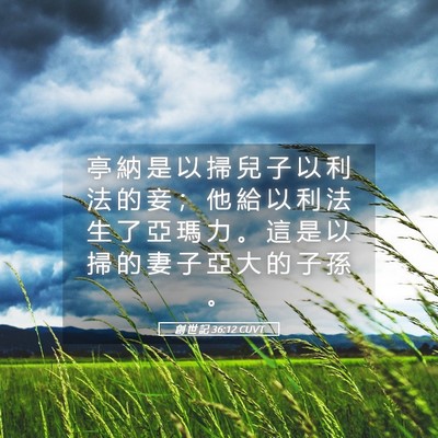 Picture 05 - 創 世 記 36:12 CUVT - 亭 納 是 以 掃 兒 子 以 利 法 的 妾 - Bible Verse Picture