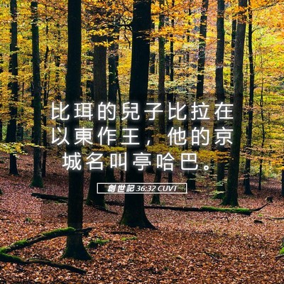 Picture 05 - 創 世 記 36:32 CUVT - 比 珥 的 兒 子 比 拉 在 以 東 作 王 - Bible Verse Picture