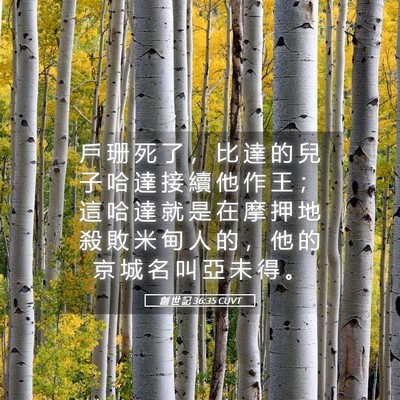 Picture 05 - 創 世 記 36:35 CUVT - 戶 珊 死 了 ， 比 達 的 兒 子 哈 達 - Bible Verse Picture
