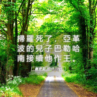 Picture 05 - 創 世 記 36:38 CUVT - 掃 羅 死 了 ， 亞 革 波 的 兒 子 巴 - Bible Verse Picture