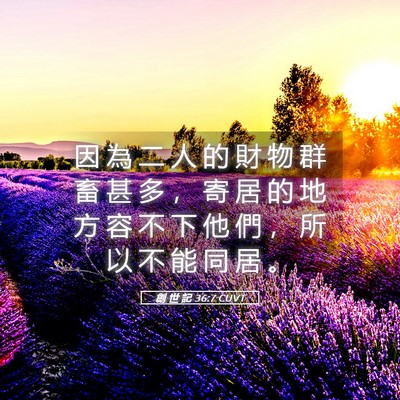 Picture 05 - 創 世 記 36:7 CUVT - 因 為 二 人 的 財 物 群 畜 甚 多 ， - Bible Verse Picture