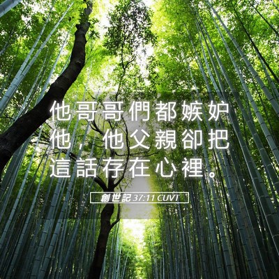 Picture 05 - 創 世 記 37:11 CUVT - 他 哥 哥 們 都 嫉 妒 他 ， 他 父 親 - Bible Verse Picture