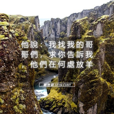Picture 05 - 創 世 記 37:16 CUVT - 他 說 ： 我 找 我 的 哥 哥 們 ， 求 - Bible Verse Picture