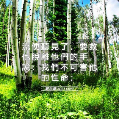 Picture 05 - 創 世 記 37:21 CUVT - 流 便 聽 見 了 ， 要 救 他 脫 離 他 - Bible Verse Picture