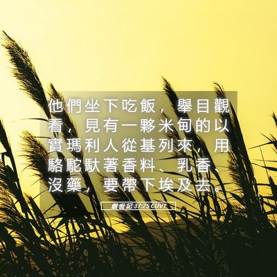 Picture 05 - 創 世 記 37:25 CUVT - 他 們 坐 下 吃 飯 ， 舉 目 觀 看 ， - Bible Verse Picture
