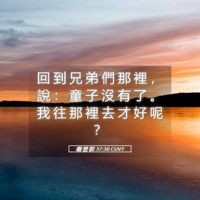 Picture 05 - 創 世 記 37:30 CUVT - 回 到 兄 弟 們 那 裡 ， 說 ： 童 子 - Bible Verse Picture